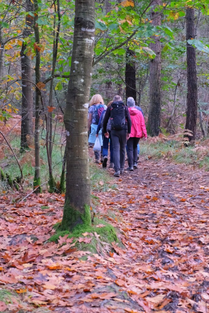 En marche vers le SEL de Liffré, les 19 et 20 octobre 2024